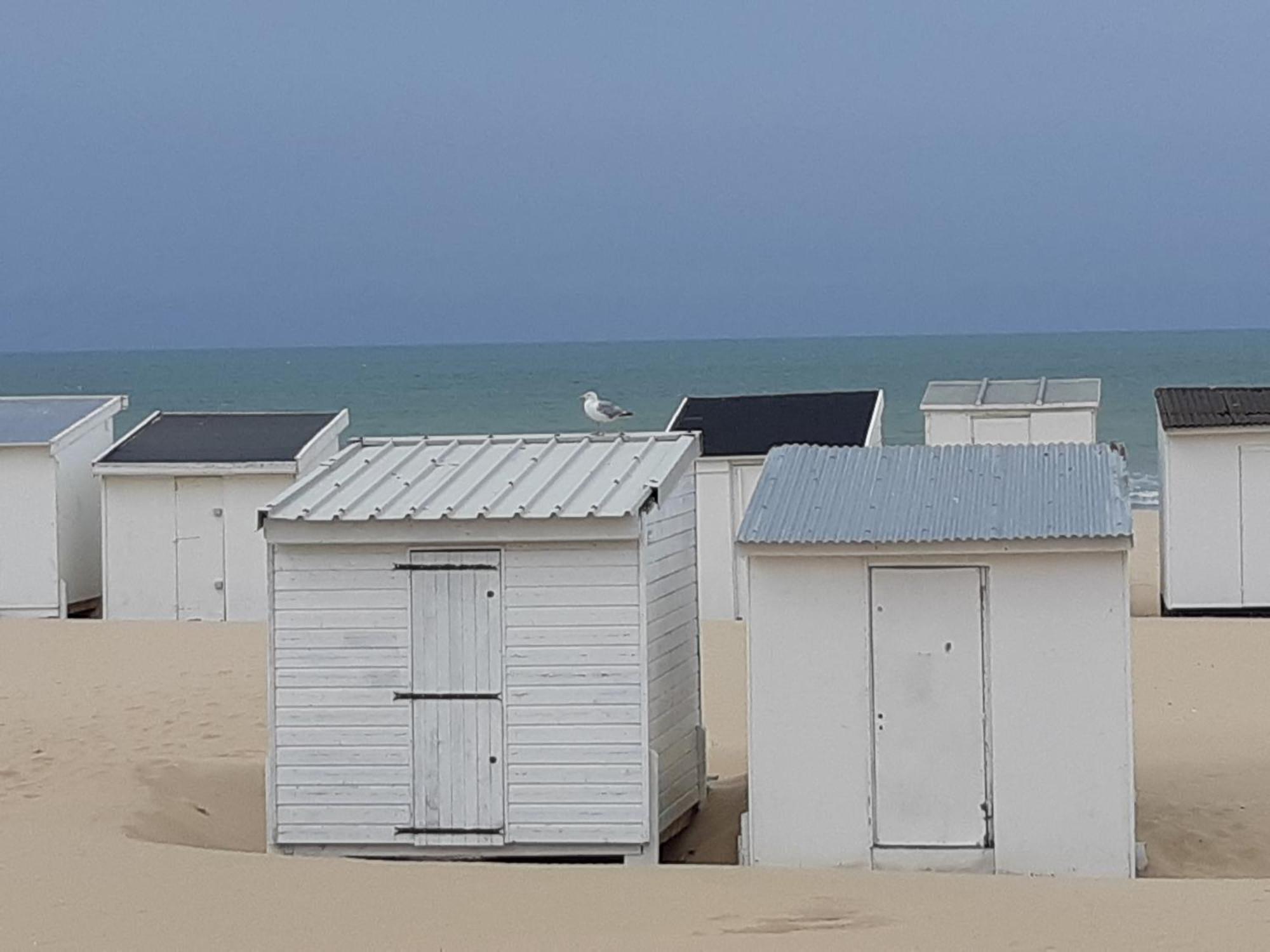 Calais Plage - Magnifique Studio - Front De Mer Exterior foto
